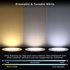 ETL RGB 4 Inch 10W Recessed DownlightためRetrofit 4 Inch Housing Wi-Fi LED Can Lights APP Control CompatibleとAlexa