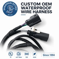 Kabel Harness Speaker Belakang Anti Air Terjalin, Kabel Harness Listrik Mobil, Perakitan Kabel Harness OEM, Kabel Harness Kustom