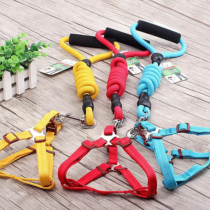 Dropshipping Factory Silver Color Rose Red Color Yellow Color Pet Collars Leashes