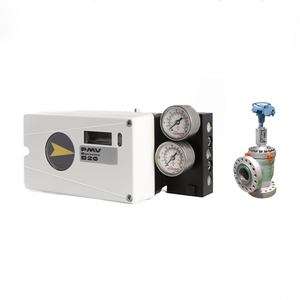 Posicionador de Válvula Flowserve PMV D20 con Wuzhong China - Product Image 3