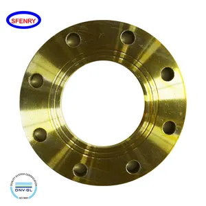 Il DIN Standard di Sfenry 2576 2573 PN10 PN16 PN25 giallo ha galvanizzato le flange forgiate del piatto del acciaio al carbonio ST37/ip20