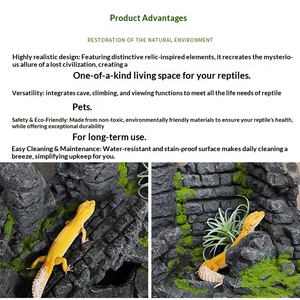 Terrario de Vidrio Todo en Uno para Reptiles, Diseño Panorámico de una Sola Pieza, Paisaje de Selva Tropical y Desierto - Product Image 3