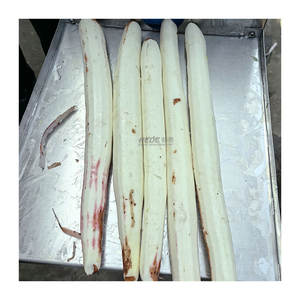 Machine à éplucher la laitue industrielle Yam Offre Spéciale longue aubergine <span class=keywords><strong>carotte</strong></span> <span class=keywords><strong>prix</strong></span> usine de haute qualité - Product Image 1