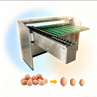 Machine de triage d'œufs de haute précision, équipement de triage automatique par poids, adapté à la production d'œufs frais et crus