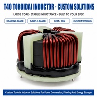 Inducteur de mode commun toroïdal T30 20 20, filtre de puissance à courant élevé, inducteur PFC pour onduleurs industriels, systèmes photovoltaïques et serveurs IA