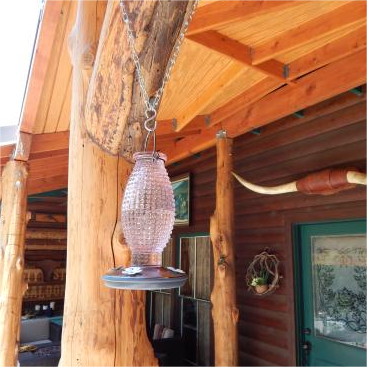 jar bee feeder multi sweet