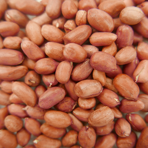 אגוז בוטנים גלם של זרעי בוטנים סיטוני סין - Product Image 2