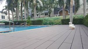 Venta caliente <span class=keywords><strong>terraza</strong></span> compuesta tradicional WPC suelo exterior madera compuesto jardín cubierta <span class=keywords><strong>precio</strong></span> - Product Image 6