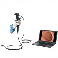 Caméra d'endoscope vétérinaire USB portable HC-R028E diagnostic médical d'endoscope portable
