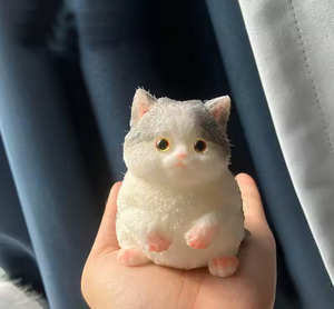 Juguetes Antiestrés de Gelatina Sensorial con Forma de Pata de Gato, Personalizables con Logotipo, de EVA Mochi Squishies, para Niños y Adultos, Venta al por Mayor - Product Image 4