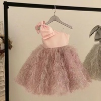 Einschultriges Abendkleid Formelles Sommer-Mädchenkleid aus Mesh-Tüll mit Pailletten, Quasten und Federn Prinzessinnen-Trägerkleid Ärmellos