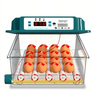 Hoàn toàn tự động cung cấp điện kép 16 trứng lồng ấp giá rẻ nhỏ lồng ấp trứng gà lồng ấp trứng 220V/110V - Product Image 4