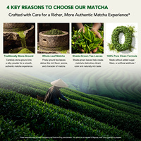 Lenm 100g Poudre de thé vert Matcha Premium Première Récolte Sans gluten Végétalien Extrait végétal en poudre pour Lattes Smoothies & Pâtisseries