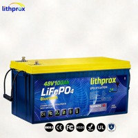 Lithprox 48V 100AH 5KW LiFePO4 Batterie à décharge profonde pour camping-car avec BMS intelligent RS485, borne M8, 6000+ cycles, CE RoHS IP67, OEM ODM