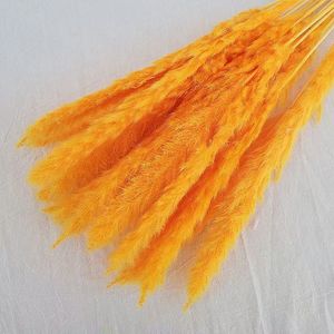 Offre Spéciale : 15 Pampas Naturelles Moelleuses de 60 cm pour Décoration de Mariage - Product Image 2