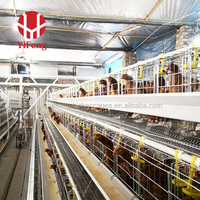 Cage à poules pondeuses conventionnelle à 3 niveaux en fil d'acier galvanisé avec abreuvoir à tétine et mangeoire pour ferme avicole
