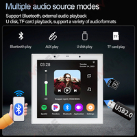 OEM 4 İnç Android 11 TUYA Akıllı Duvara Monte Bluetooth Müzik Çalar Ev Sinema Sistemleri Ses Ekipmanları Amplifikatörler
