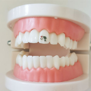 Best Price Medical Pure Titanium Teeth Gems Hot Selling Multi-Purpose Oral Hygiene Jewelry Five Leaf Slover Teeth with Promotion - Product Image 5