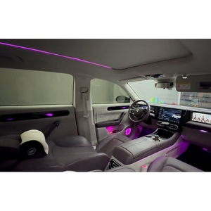 Kit d'éclairage d'ambiance de luxe pour voiture Symphony pour Leapmotor C01/C11, bande LED intérieure, éclairage à fibre optique acrylique, vente directe usine - Product Image 5
