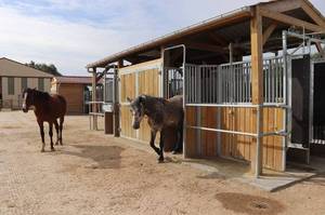 घोड़े की स्थिर पैनलों के लिए स्टील फ्रेम घोड़े की स्थिर दीवार - Product Image 5