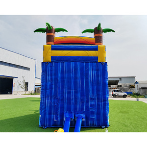 Tobogán Acuático Comercial Inflable con Palmeras Tropicales y Piscina, Tobogán Acuático Inflable de Mármol Azul con Diseño de Patos - Product Image 6