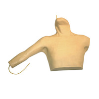 PVC interne sous-clavier de mannequin de simulation de ponction de veine jugulaire pour le modèle de formation de cathétérisme veineux central périphérique