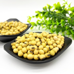 Vente en gros d'usine de soja jaune NO-GMO de haute qualité en vrac New Corp de Chine - Product Image 6