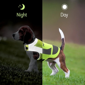 AFP Personalizado Serie K-Nite <span class=keywords><strong>Collar</strong></span>, Correa y Chaqueta <span class=keywords><strong>LED</strong></span> Luminosa para Perro, Pelota Luminosa Intermitente para Perro, Adhesivo, Volador y Juguete Chirriante - Product Image 3