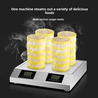 Horno Vaporizador Eléctrico Comercial Zankang con Cajón, Multifunción, con Pantalla, Aislamiento Térmico, Automático, 3000W, para Restaurantes y Buffets