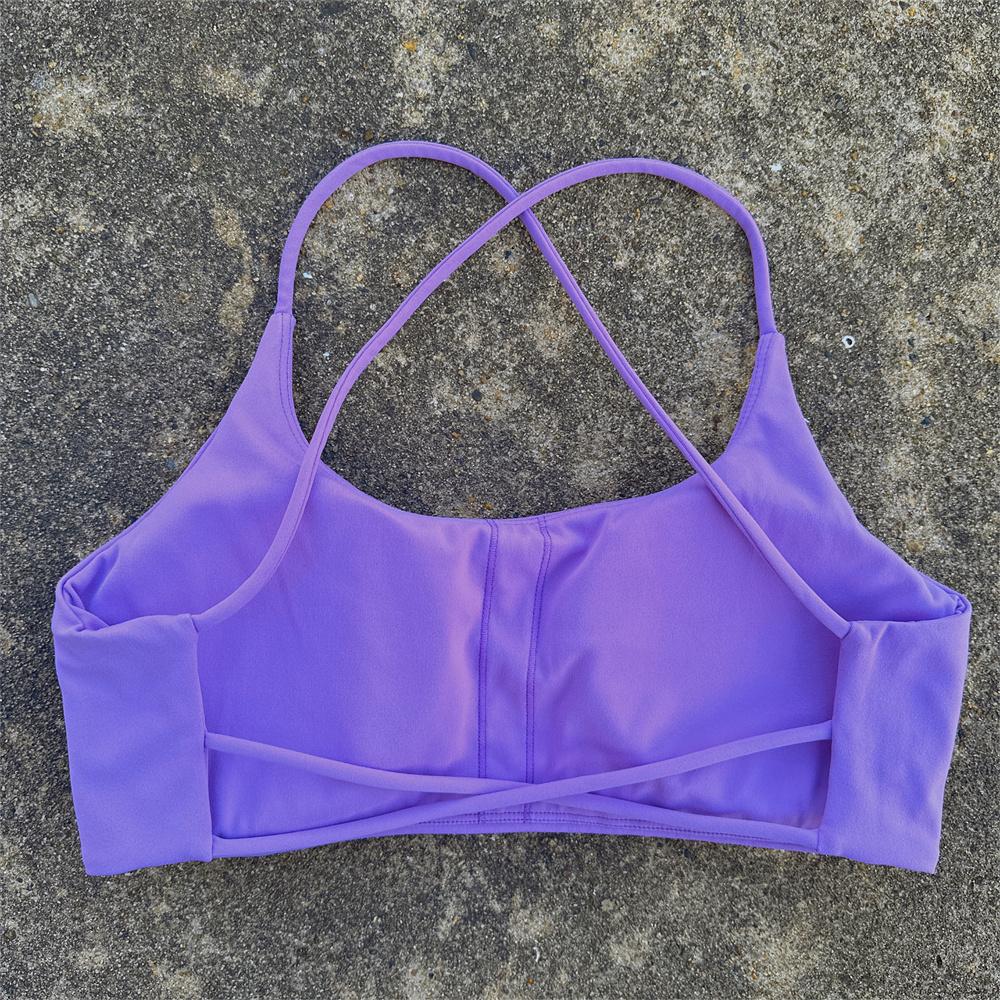 calamus purple
