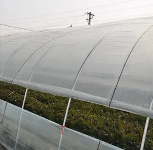 농업 아연 도금 금속 프레임 상업 온실 판매 폴리 터널 온실