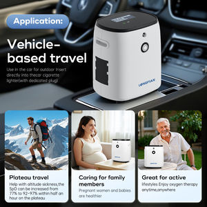Concentrateur d'<span class=keywords><strong>oxygène</strong></span> <span class=keywords><strong>portable</strong></span> LONGFIAN 12V 1-7L certifié CE, classe II, <span class=keywords><strong>prix</strong></span> du dispositif <span class=keywords><strong>médical</strong></span> - Product Image 6