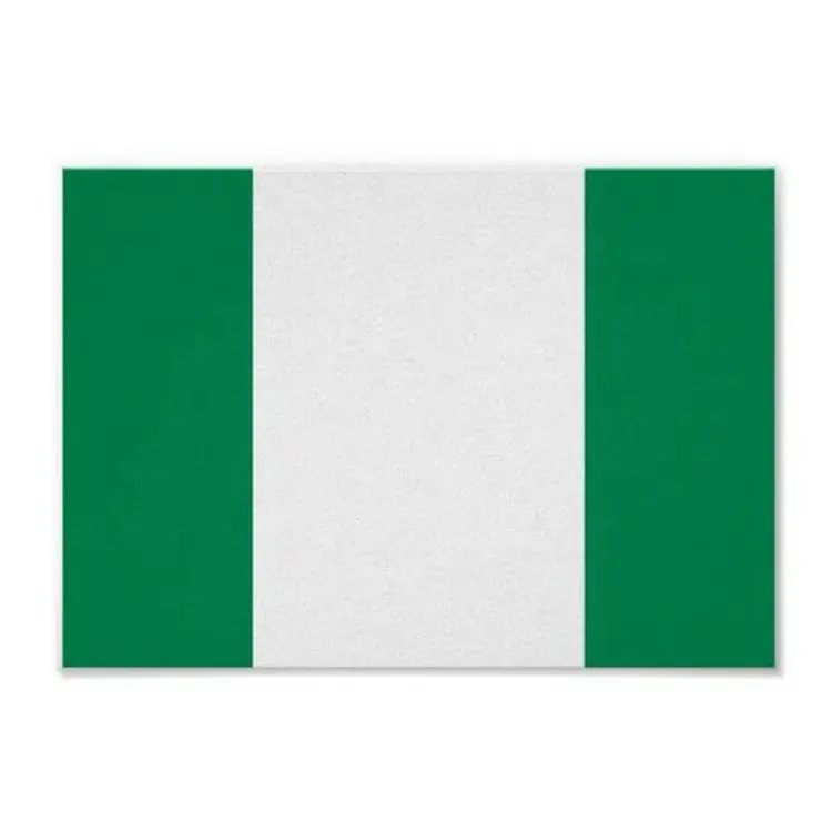 Bandiere nigeriane di vendita calde del poliestere 3 * 5ft 100D di vendita calda per la pubblicità di promozione