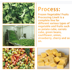 TCA冷凍野菜スノーエンドウの自動生産ライン - Product Image 5
