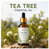 Huile d'arbre à thé pure et naturelle, d'origine végétale ; élimine l'acné et contrôle le sébum ; adaptée aux soins de la peau et à une maison saine.