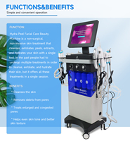 Machine faciale à bulles d'hydrogène et d'oxygène, livraison rapide depuis l'UE, Jet Peel, rajeunissement de la peau, nettoyage en profondeur pour salon, 15 sondes