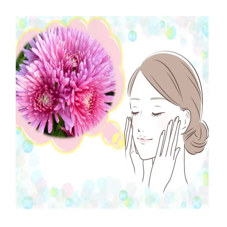 Japanese original beauty supplement pores herbs plant chrysanthemum powder anti-glycation flower extract