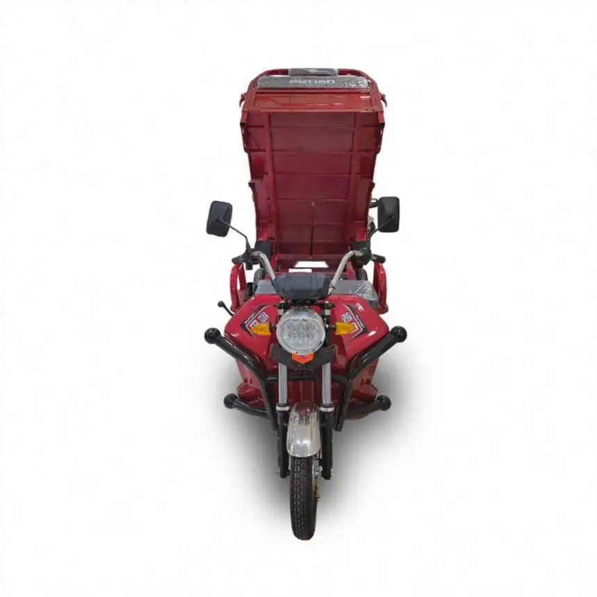 Cheap Outdoor Skd Electric Tricycle Cargo Motorcycle For Sale