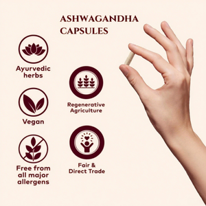 Tự Nhiên Chất Chống Oxy Hóa Hữu Cơ Kẽm shilajit Đen Maca Gốc Bổ Sung Panax Ginseng Chiết Xuất Nhân Sâm Ashwagandha Ksm66 Viên Nang Cho Người Lớn - Product Image 4