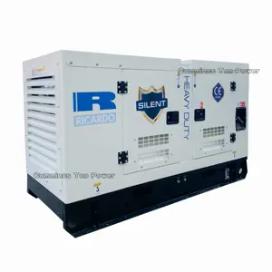 silent electric generator 40kva diesel generator price with weifang Ricardo engine 30kw generator price