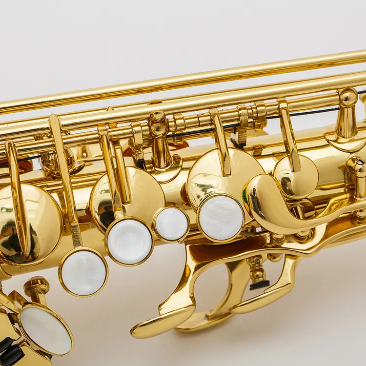 Fast Delivery Eb Sax Chinese Best Quality Professional Alto saxophone OEM