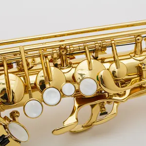 Saxophone Fast Delivery Eb Sax Chinese Best Quality Professional Alto Saxophone OEM