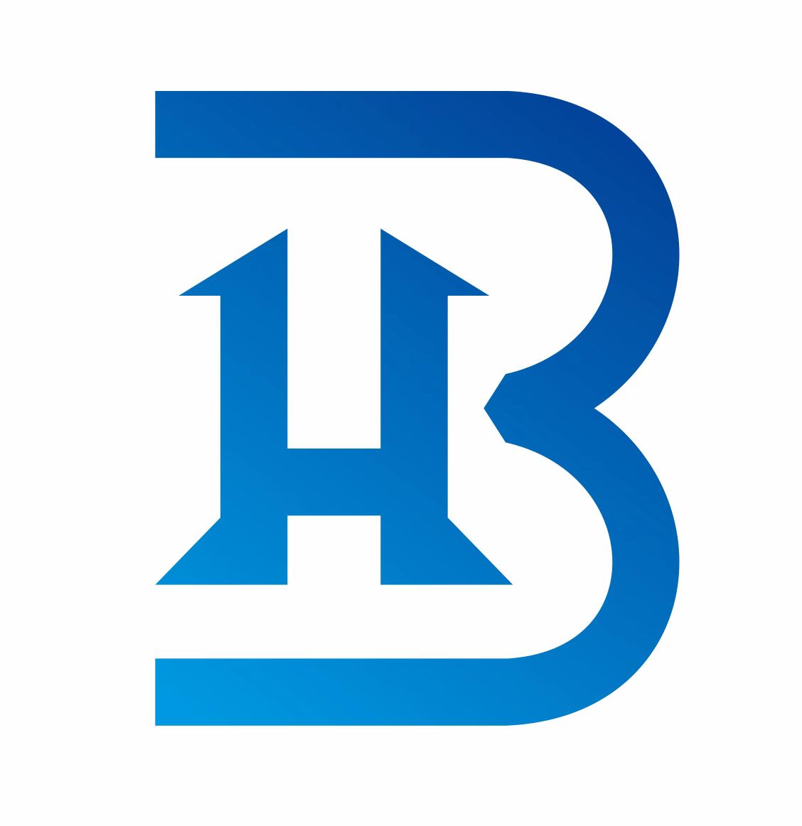 Shandong Benhe Electric Co., Ltd. logo