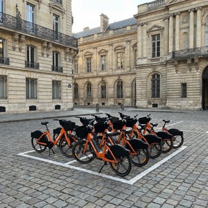 Vélo électrique anti-vandalisme direct usine avec verrou intelligent 4G, flotte de mobilité urbaine pour entreprises de <span class=keywords><strong>location</strong></span> - Product Image 2