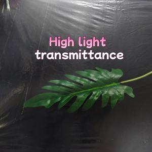 Film de paillage transparent léger, taille personnalisée pour les exploitations agricoles commerciales et les petites exploitations - Product Image 3
