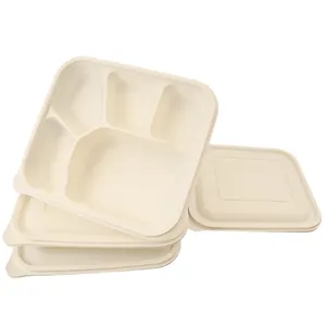 CPla Food Container Manufacturer/Biodegradable 5 Compartment Food Container Disposable
