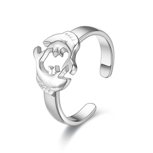 Anillos de Acero Inoxidable a Prueba de Agua, Joyería Antideslustre, Anillo con Signo del Zodiaco de los 12 Horóscopos para Mujeres y Niñas - Product Image 2