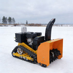 Tagliaerba Telecomandato Compatto con Accessorio Spazzaneve Invernale, Tosaerba a Benzina per Tutti i Terreni per Giardino e Cortile - Product Image 2