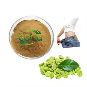 Low Price Wholesale Bulk Green Coffee Bean Extract Powder Chlorogenic Acids