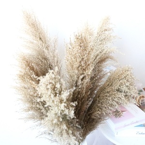 <span class=keywords><strong>Flores</strong></span> Secas de Yunnan, Cañas Pequeñas, Juego de Cañas, Madera de Caña, Suministros, Estilo Salvaje - Product Image 2